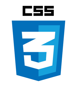 css3